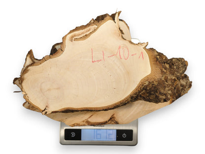 Light-toned linden root wood slice with rough dark bark, red 'LL-10-1' marking, on a digital scale.