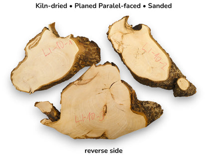 Three irregular linden wood slices, light interior, dark bark edges, with descriptive preparation text.