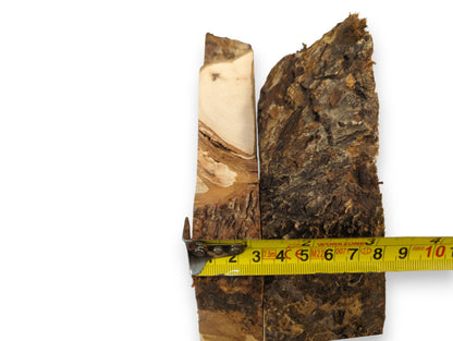 Two linden wood root slices, one light-faced, measured across width by a yellow tape.