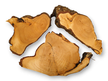 Three light-colored, irregular linden root wood slices, featuring visible annual rings and dark bark edges.