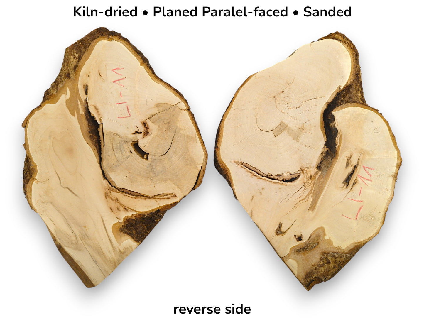Two pale, planed linden root wood slices with bark, red markings, and text describing properties.