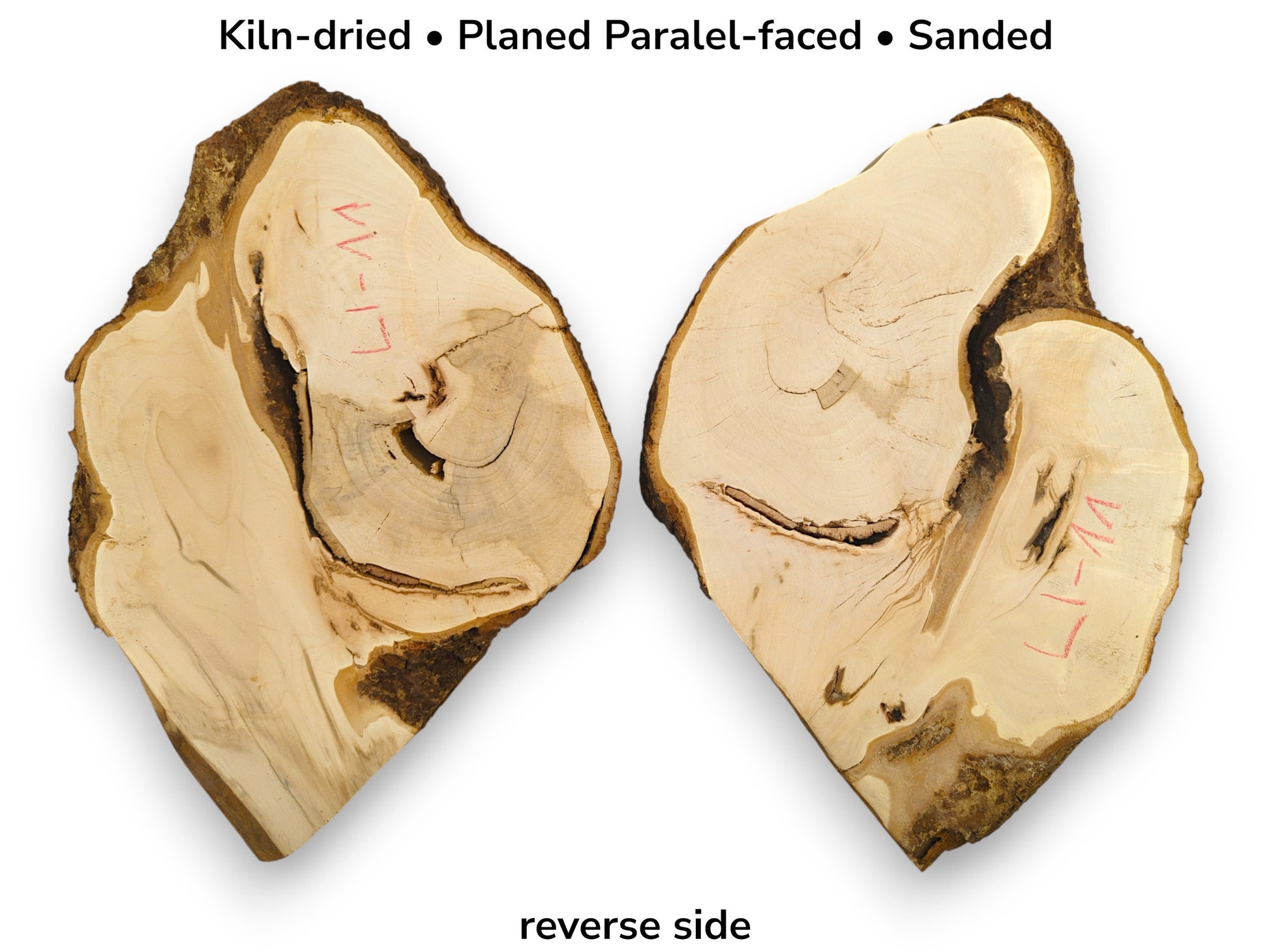 Two pale, planed linden root wood slices with bark, red markings, and text describing properties.
