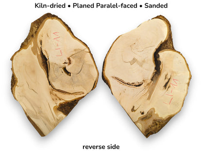 Two pale, planed linden root wood slices with bark, red markings, and text describing properties.