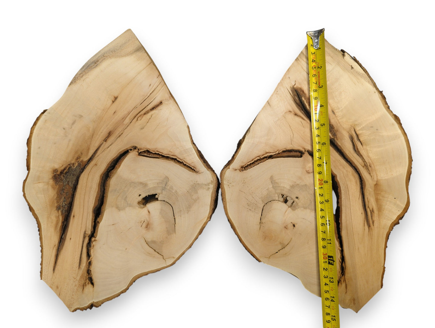 Two light-toned wood slices, bookmatched, reveal dark irregular grain, natural voids, bark, and a yellow measuring tape.