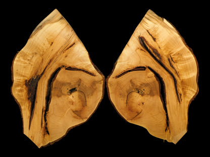 Linden root wood slices, bookmatched and light brown, feature dark, intricate grain and natural bark.