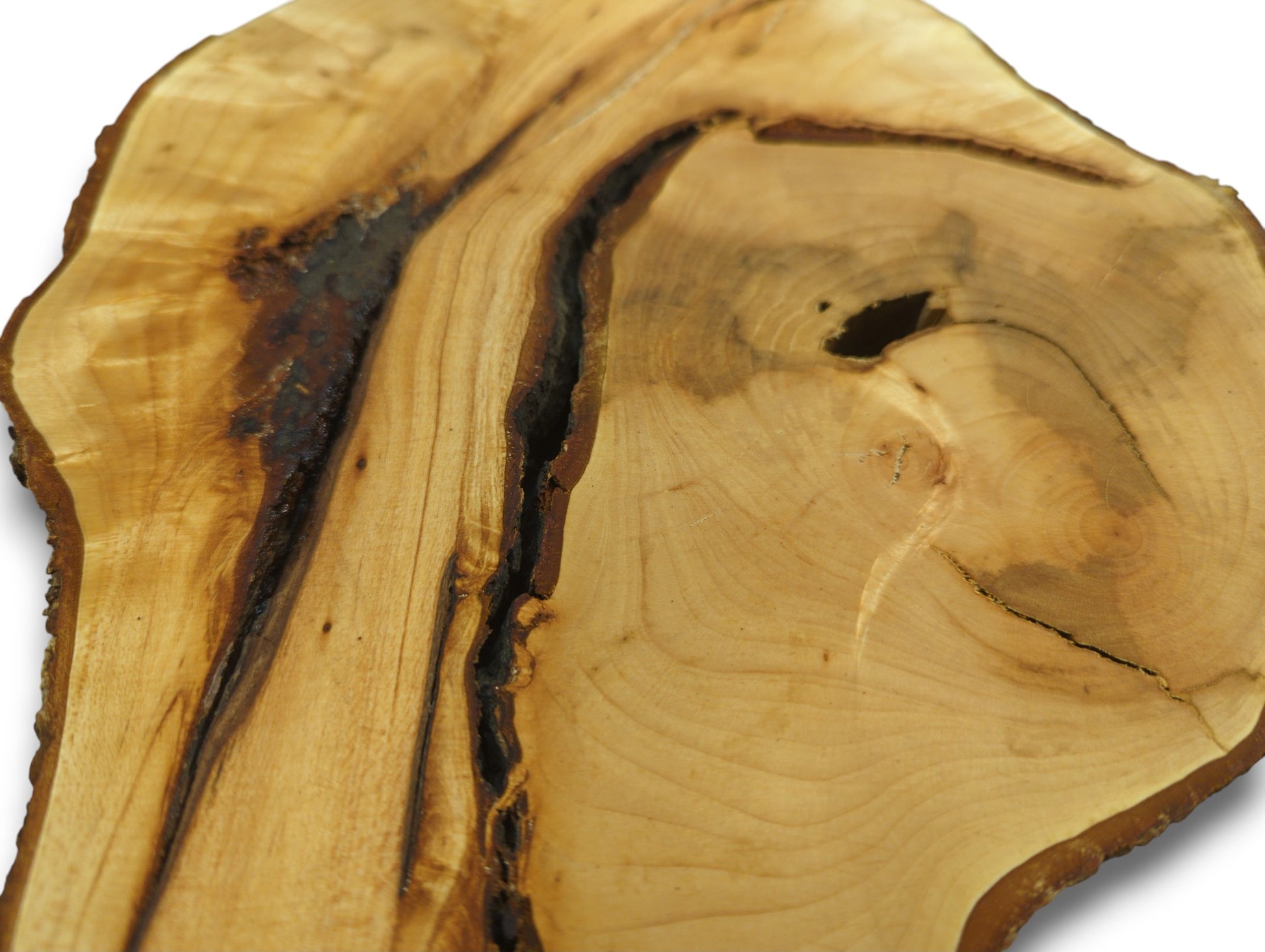 One light brown linden root wood slice features dark, irregular grain, a large void, and natural bark.