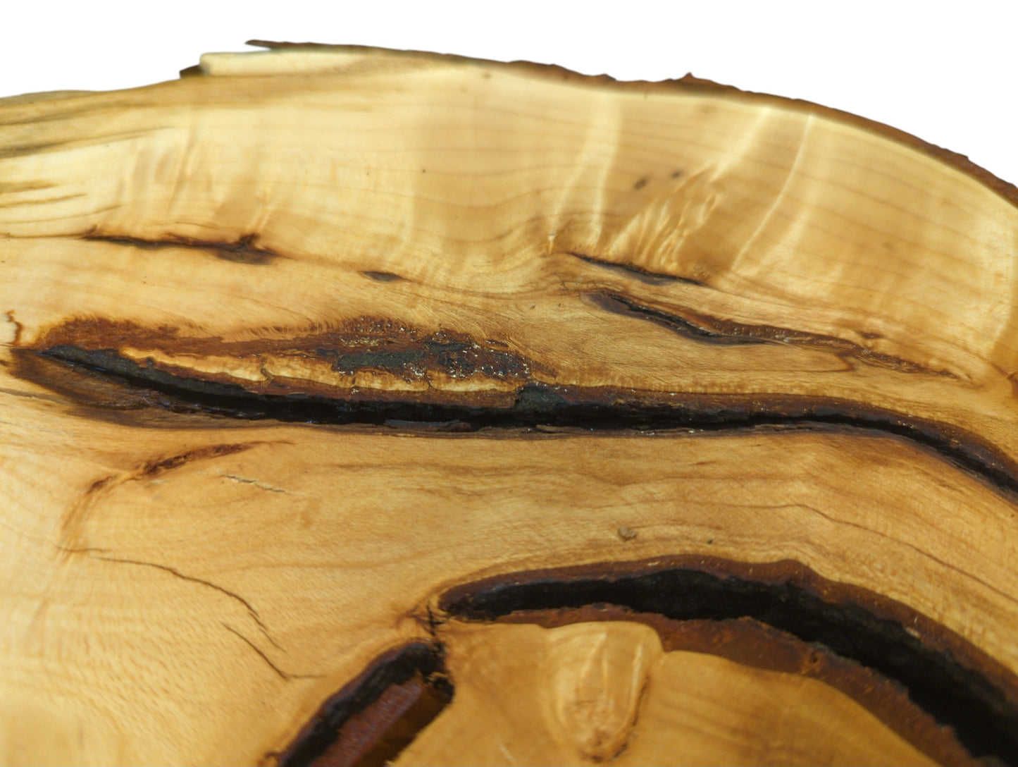 Close-up of a smooth, light brown linden wood slice, revealing dark, irregular grain and deep voids.