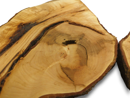 Two light brown bookmatched linden root wood slices show dark, irregular grain, natural voids, and bark.