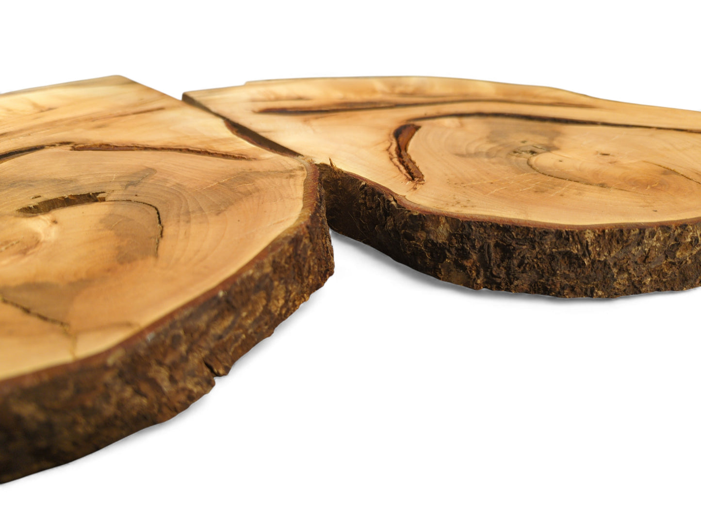 Bookmatched linden root wood slices with light brown, sanded surfaces, dark grain, and textured bark.