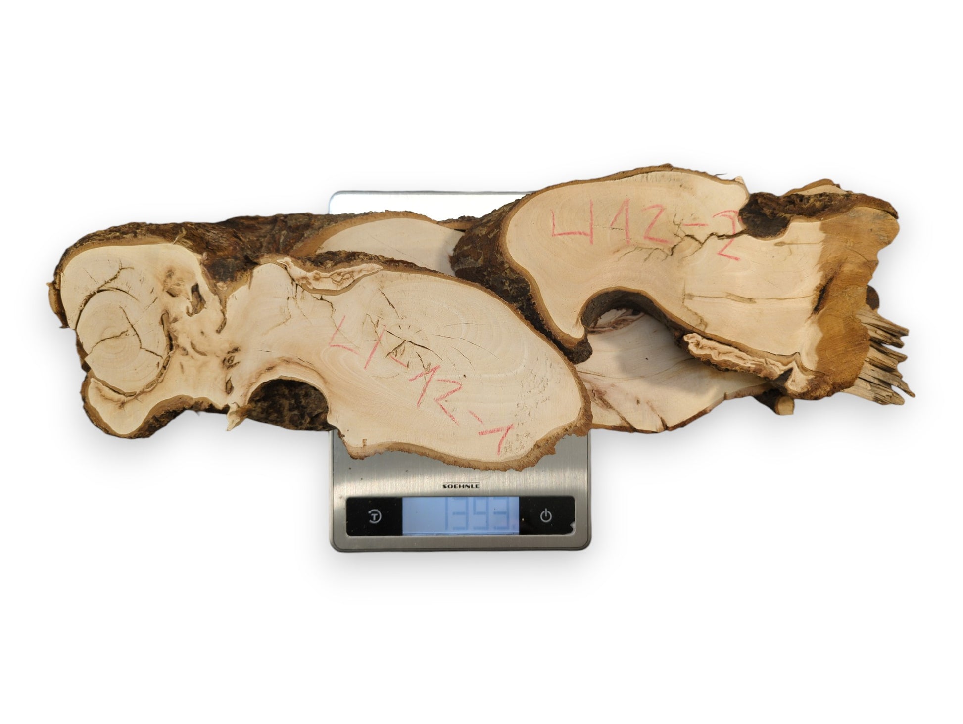 Irregularly shaped linden root wood slices, light-colored with dark bark, are being weighed on a digital scale.