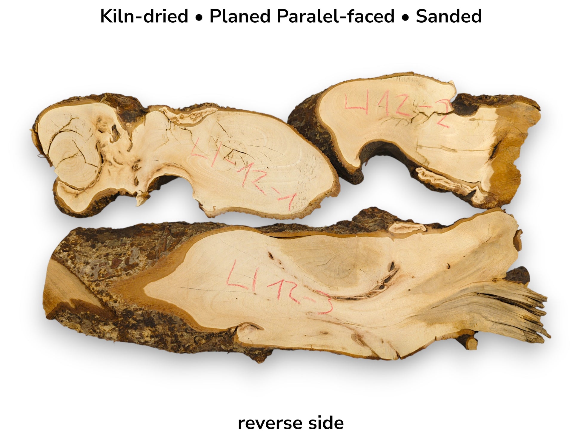 The reverse sides of three sanded wood slabs show pale grain and red markings.