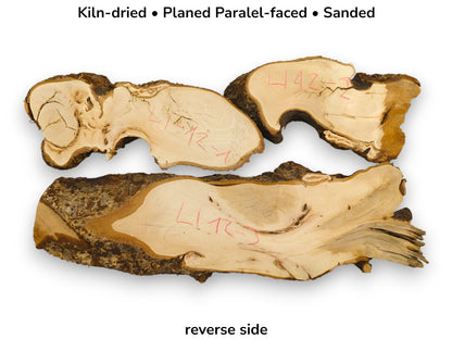 The reverse sides of three sanded wood slabs show pale grain and red markings.