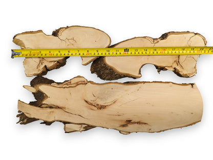 A yellow measuring tape spans three light brown linden root wood slices with dark bark.