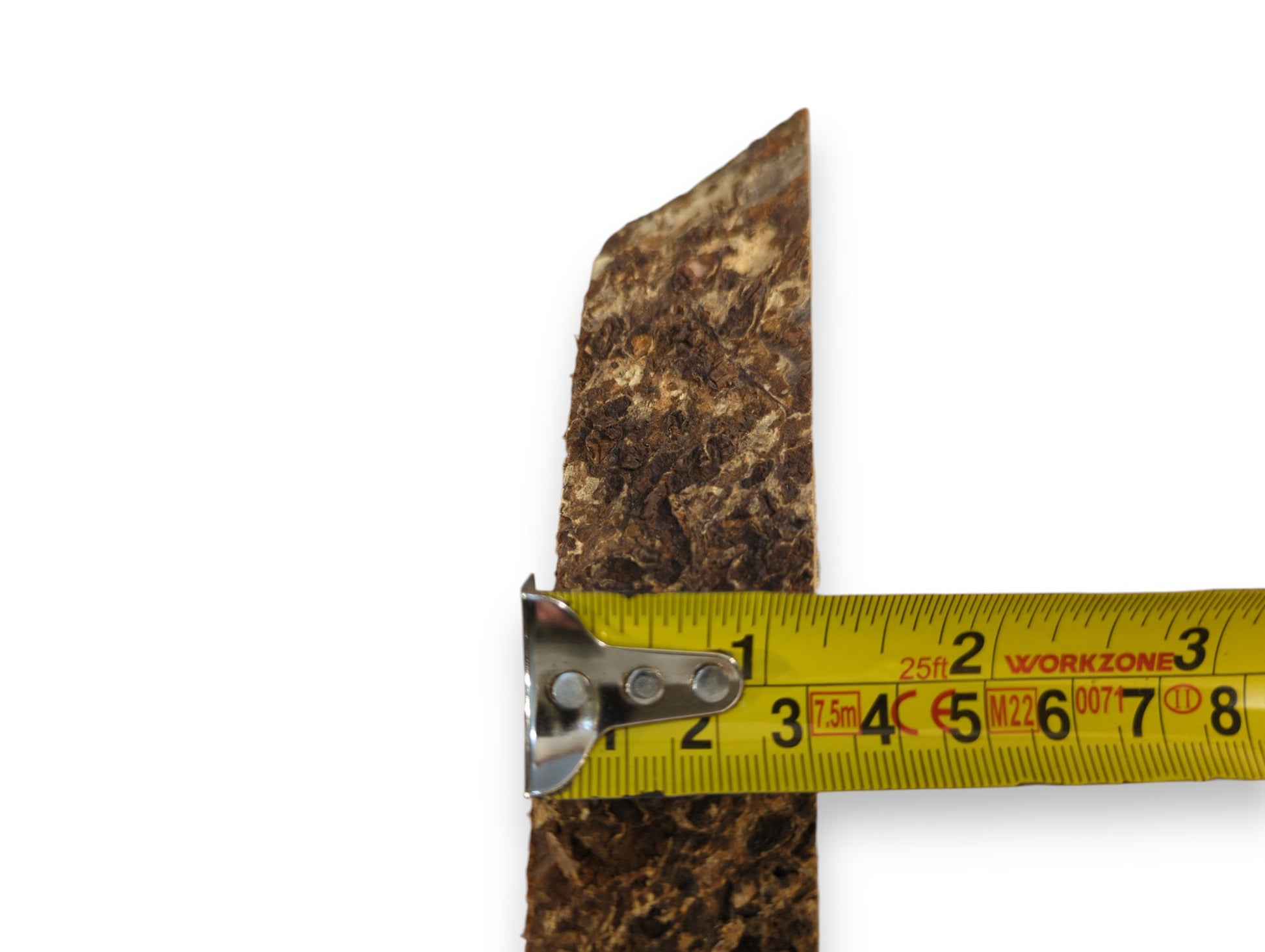Rough dark brown linden wood bark edge, measured by a yellow measuring tape showing inches and centimeters.