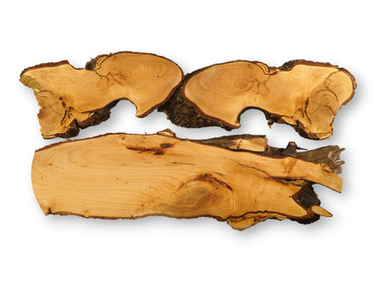 Untreated linden root wood slices (three pieces), light brown, with smooth surfaces and dark bark.