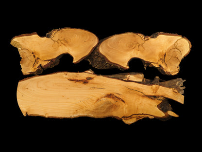 Three live edge linden root wood slices, light yellowish-brown with dark bark, displayed on black.