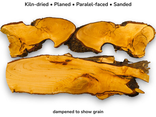 Three golden-toned, planed root sections with irregular, bark-covered edges are arranged on white.