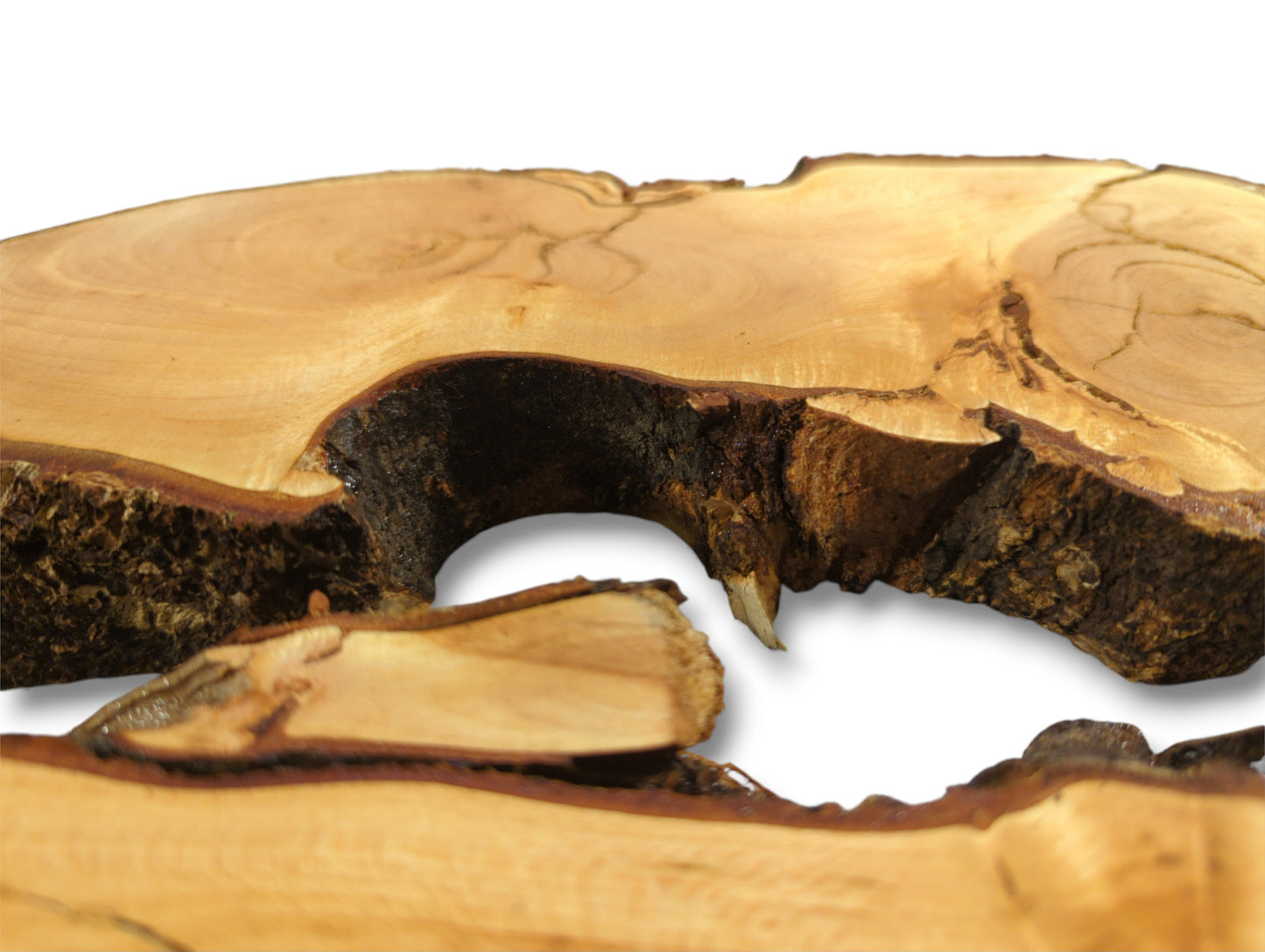 Light brown linden root wood slice with dark, textured live edge bark and a natural hole.