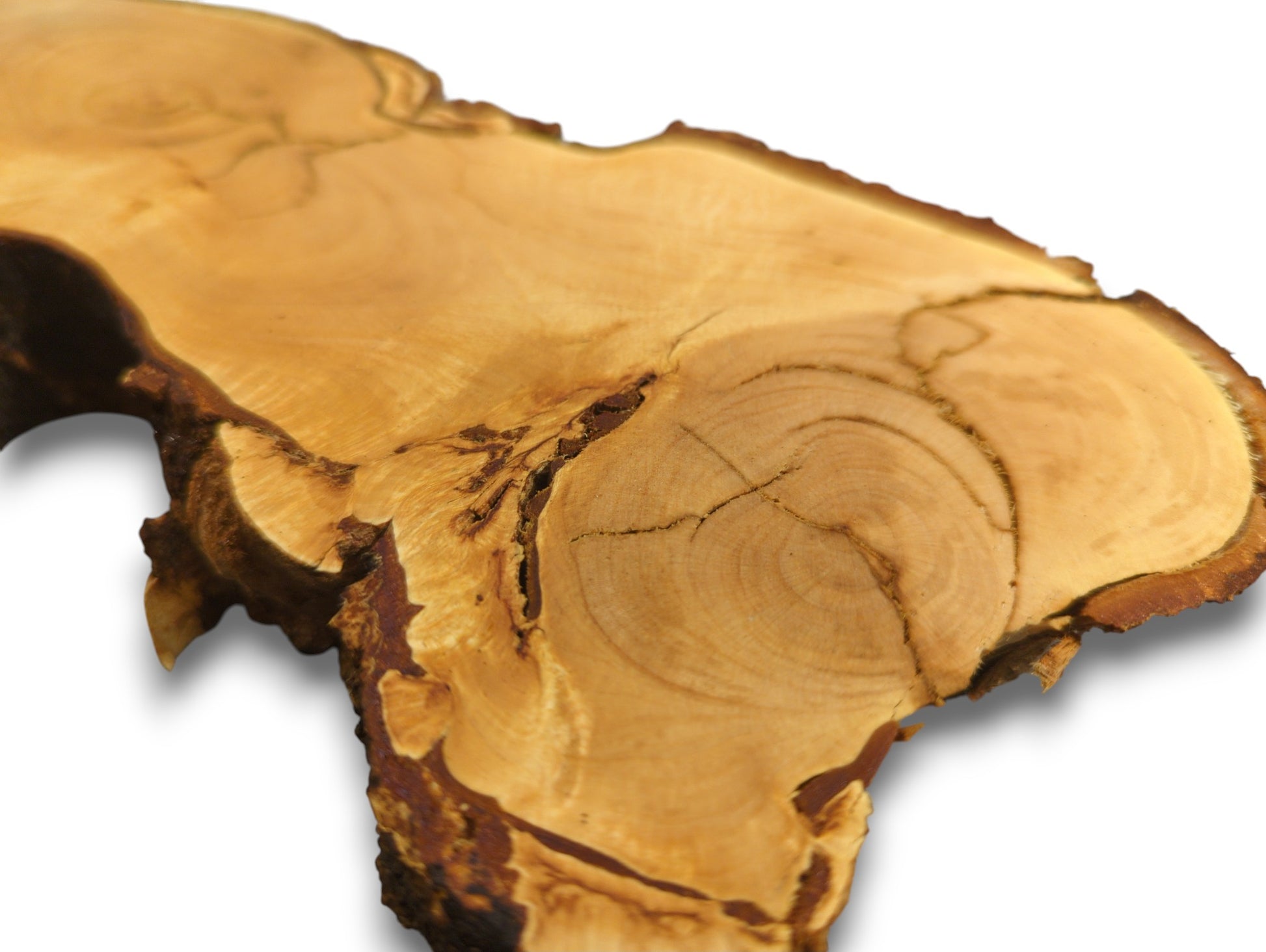 Irregularly shaped, light brown linden root wood slice with visible grain, cracks, and dark live edge bark.