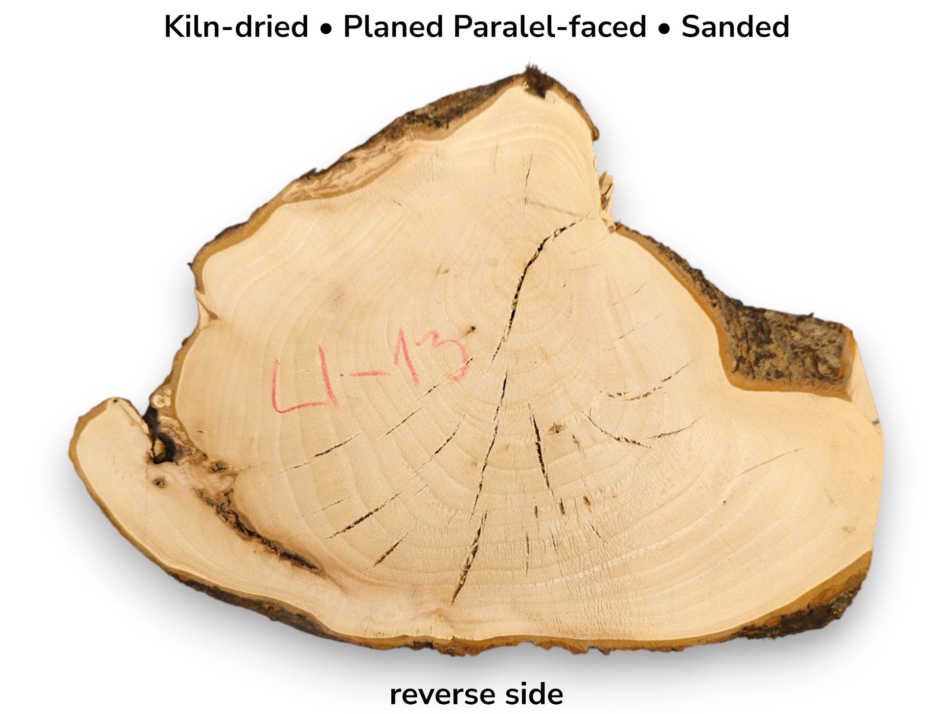 Kiln-dried, planed, sanded linden wood slice with natural bark, visible growth rings, cracks, and L-13 mark.