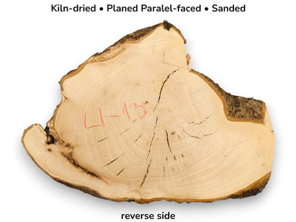 Kiln-dried, planed, sanded linden wood slice with natural bark, visible growth rings, cracks, and L-13 mark.