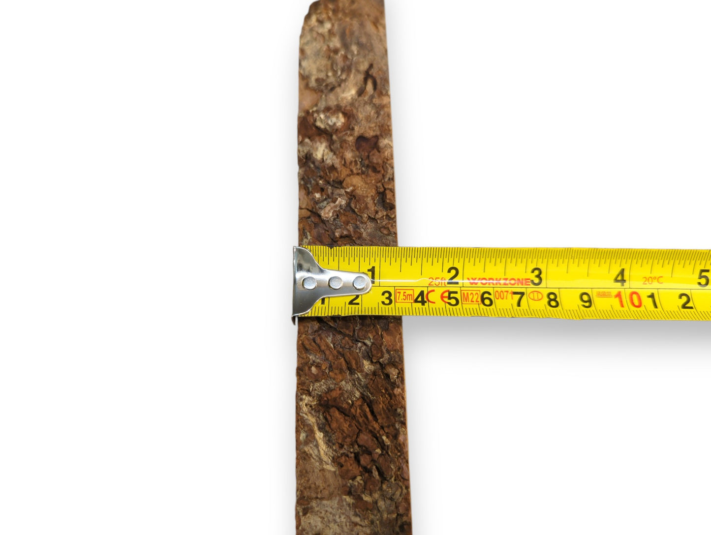 Dark, textured bark edge of a linden root wood slice measured at 1.5 inches.