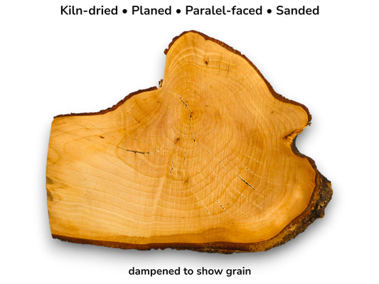 Dampened golden linden root slice displaying growth rings and bark edges below text detailing preparation.