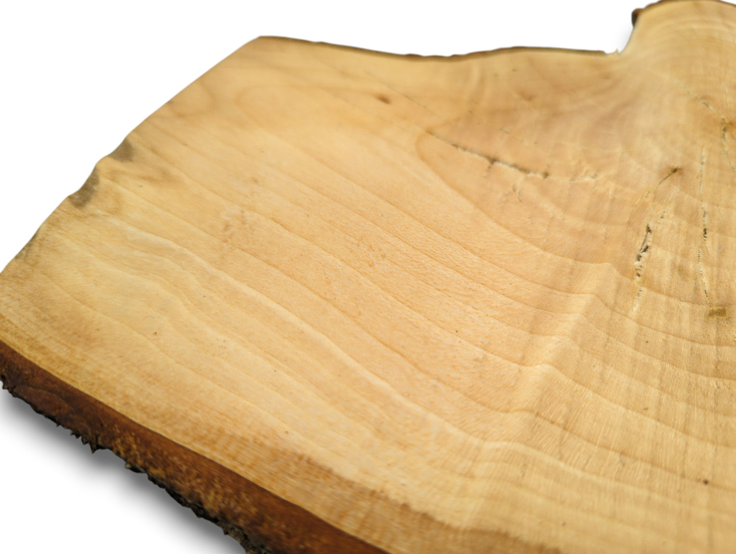Irregularly shaped, untreated linden root wood slice with a sanded light-colored surface and dark live bark edge.