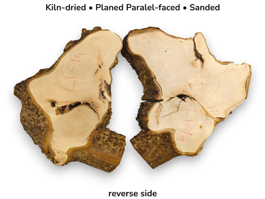 Reverse view of paired light wood slices with rough bark, red markings, and text indicating specifications.