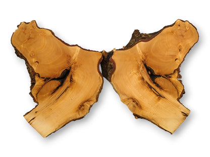 Two bookmatched linden/lime root wood slices, light brown with dark rough bark and prominent central voids.