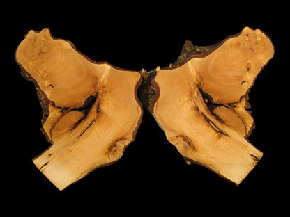 Two bookmatched golden-brown linden root wood slices, showing dark bark edges and natural grain.
