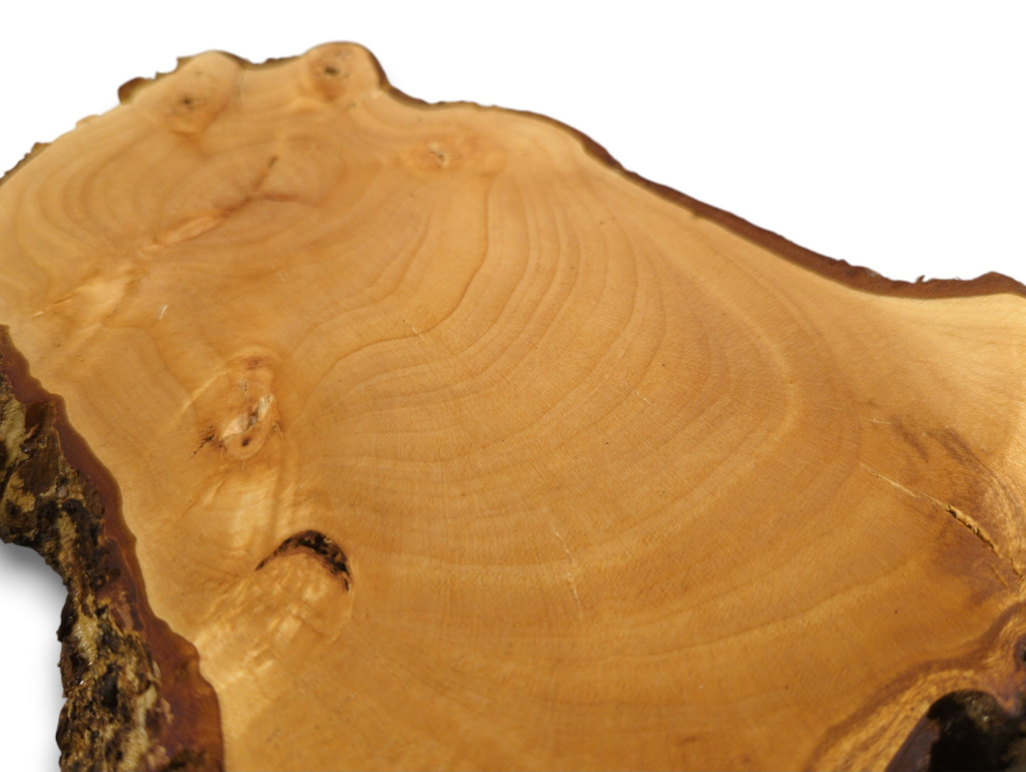 Close-up of a pale golden-brown, irregularly shaped linden/lime root wood slice with smooth grain and dark bark.