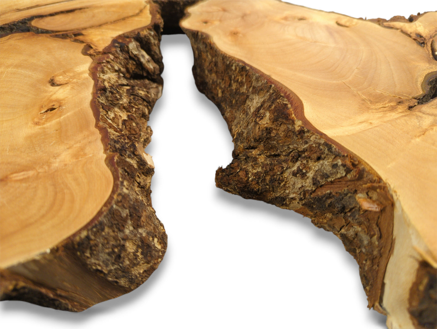 Untreated, bookmatched linden/lime root wood slices feature smooth, pale surfaces and rugged dark bark edges.
