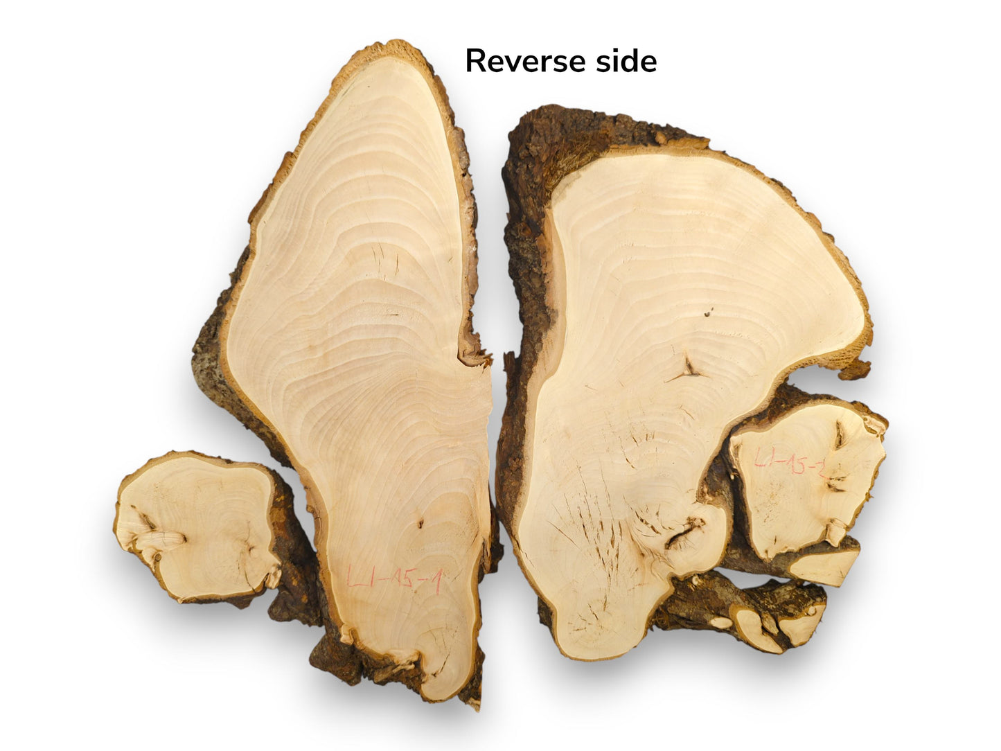 Pale yellow linden root slices, bookmatched with dark bark, "Reverse side" text, and red L1-15-1 markings.