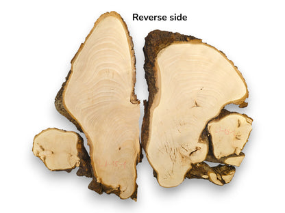 Pale yellow linden root slices, bookmatched with dark bark, "Reverse side" text, and red L1-15-1 markings.