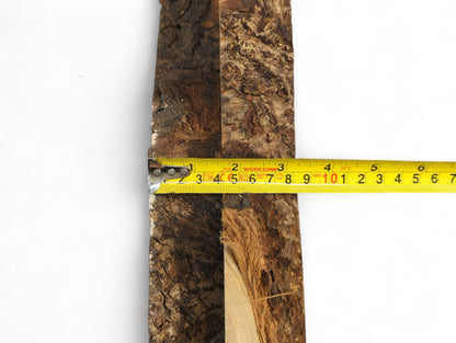 Two rough-barked linden wood slices are horizontally measured by a yellow tape on a white surface.