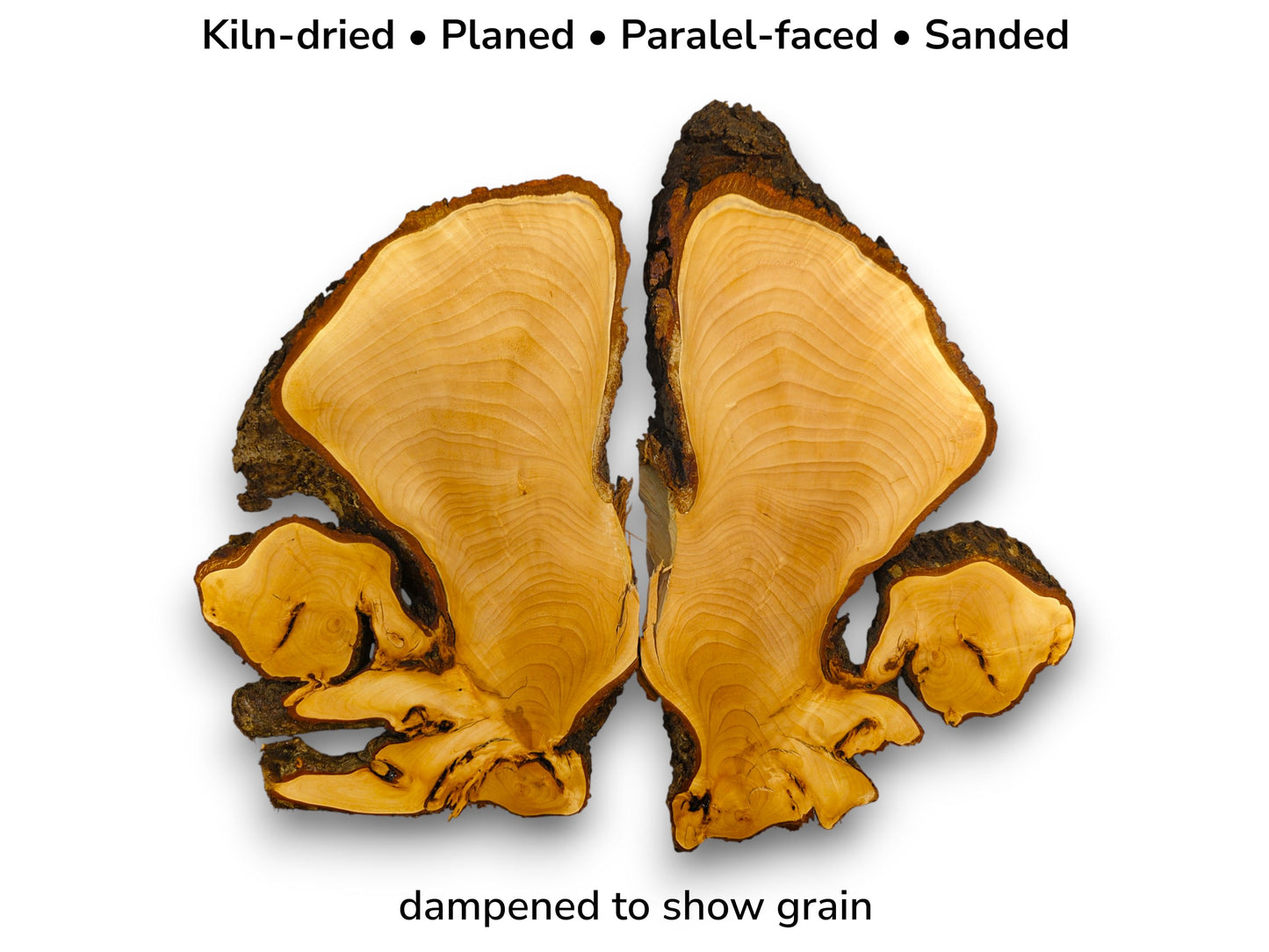 Image of two bookmatched, pale yellow linden root slices with dark bark. Text details preparation and dampening.