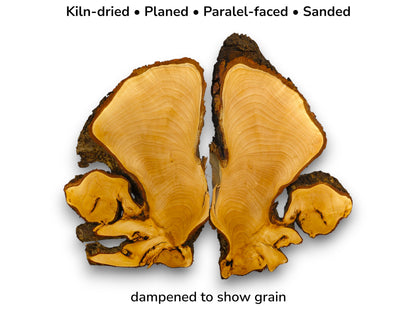 Image of two bookmatched, pale yellow linden root slices with dark bark. Text details preparation and dampening.