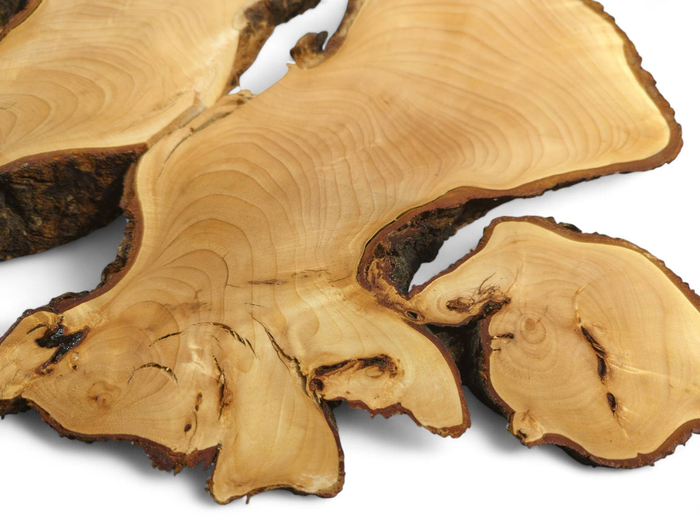 Variously shaped linden root slices, including a bookmatched pair, display light wood grain and dark bark.