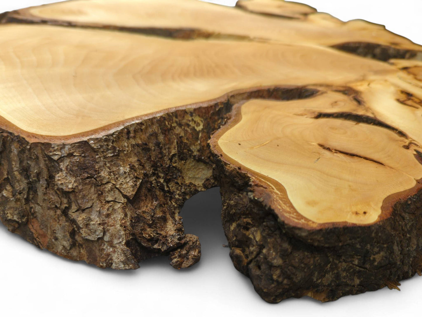 Bookmatched linden root slices showcase pale, smooth wood surfaces contrasting with dark, rugged bark edges.