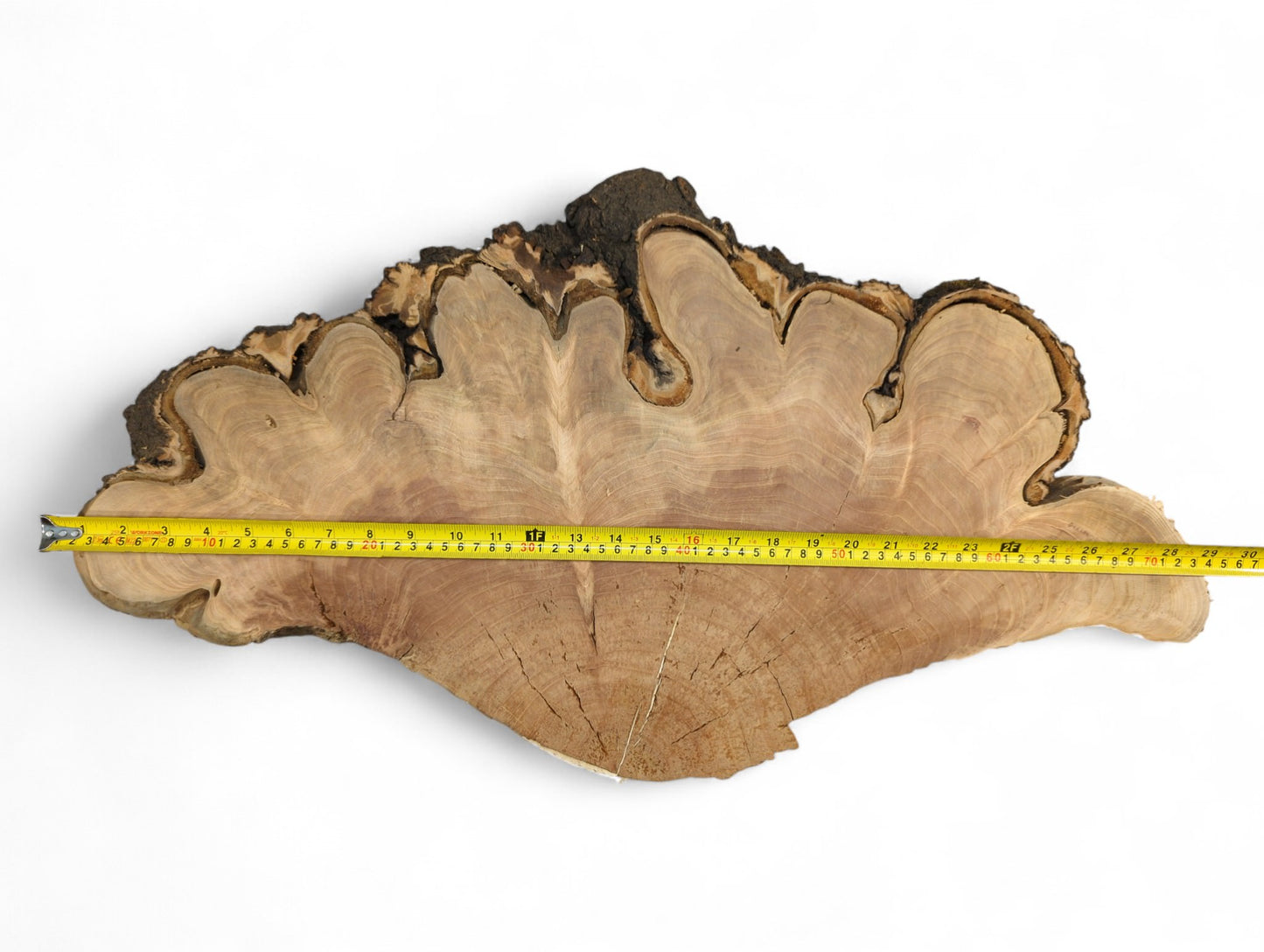 Wide, irregular cherry wood endgrain slab displays dark bark, distinct growth rings, and a yellow measuring tape.