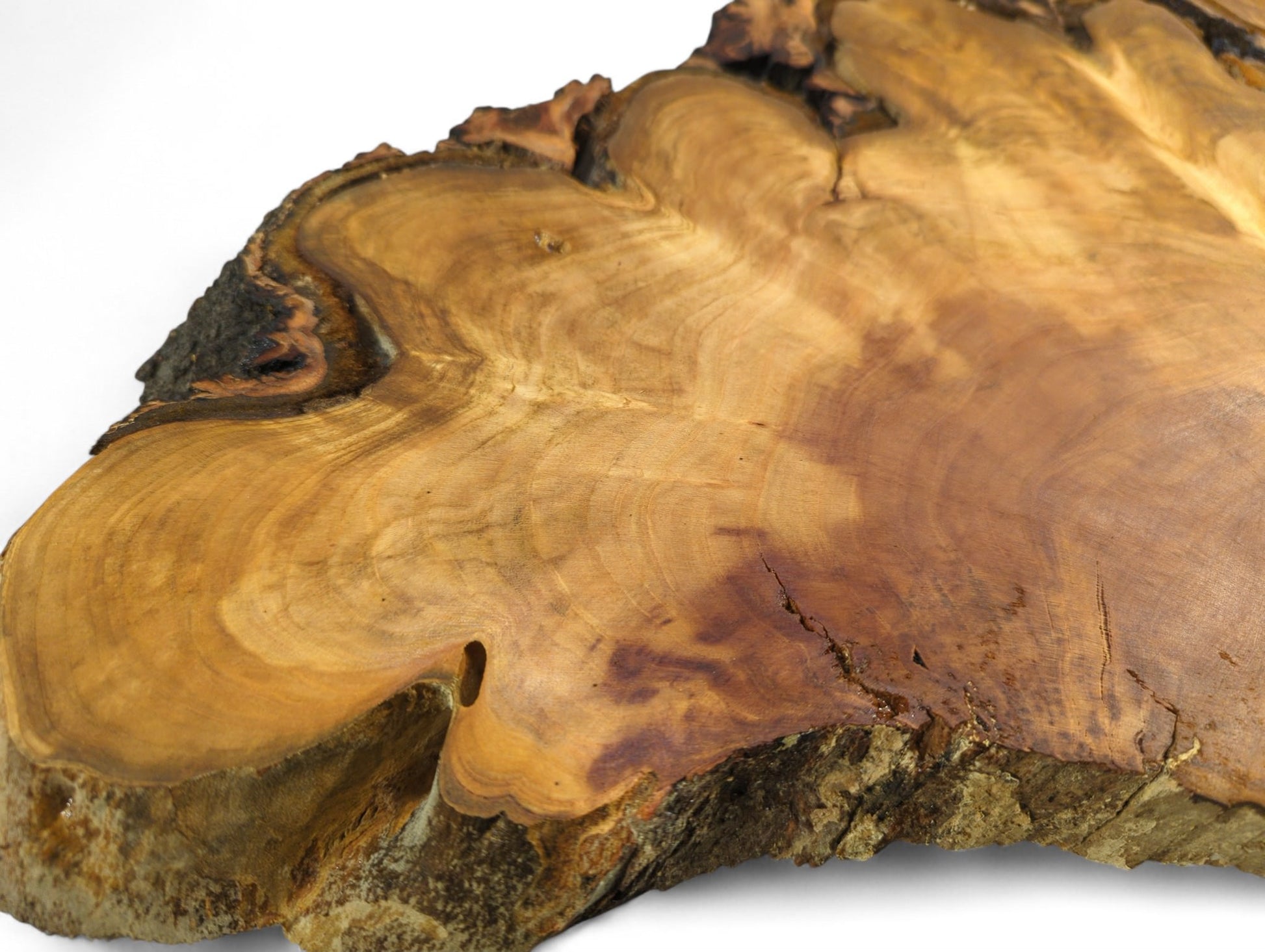 Thin, irregular cherry wood slice, showing warm brown tones, distinct grain patterns, rough bark, and small voids.