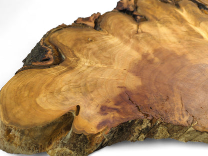 Thin, irregular cherry wood slice, showing warm brown tones, distinct grain patterns, rough bark, and small voids.