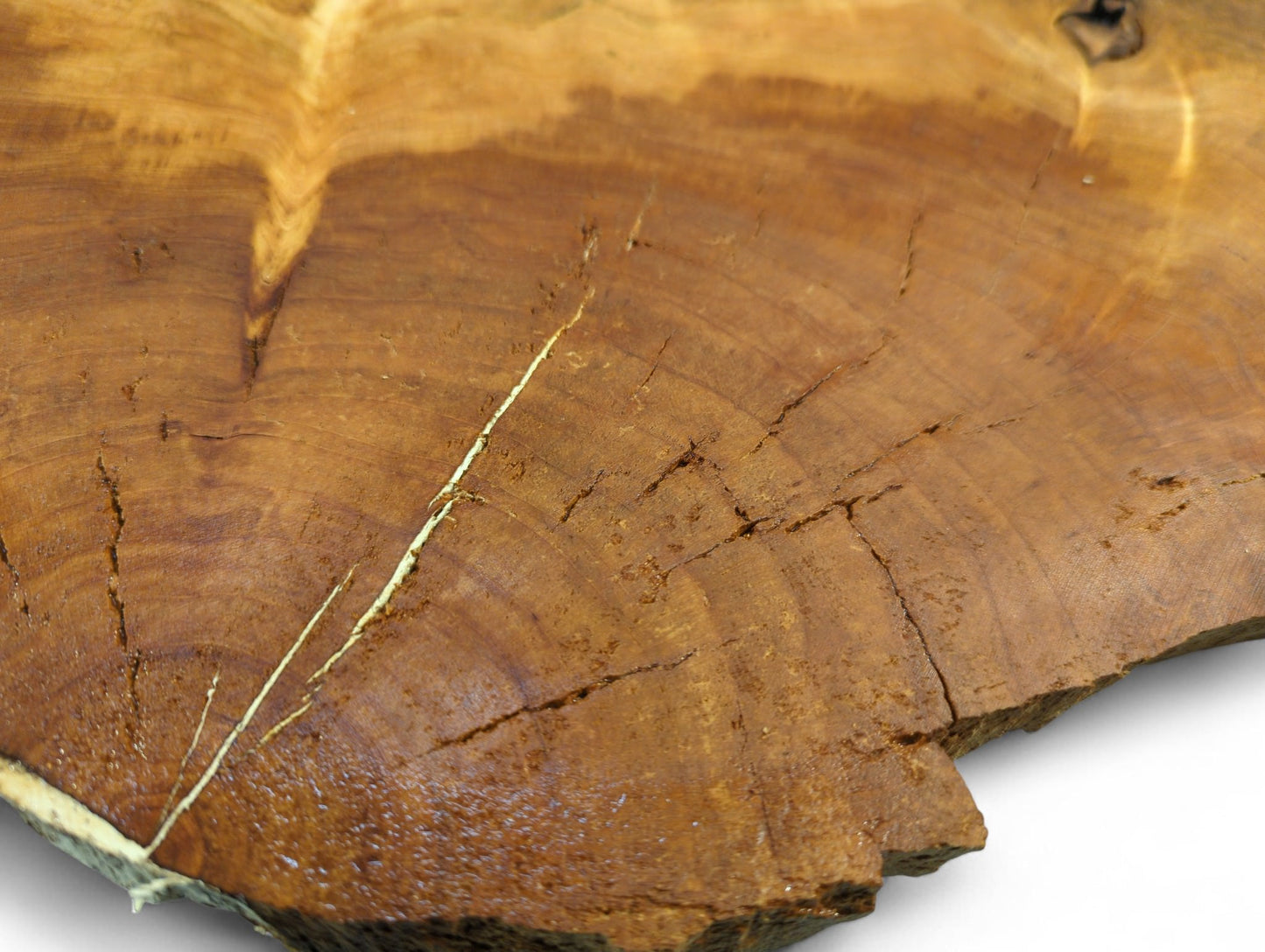 Textured reddish-brown cherry wood endgrain slice with distinct growth rings, numerous cracks, and a bright diagonal fissure.