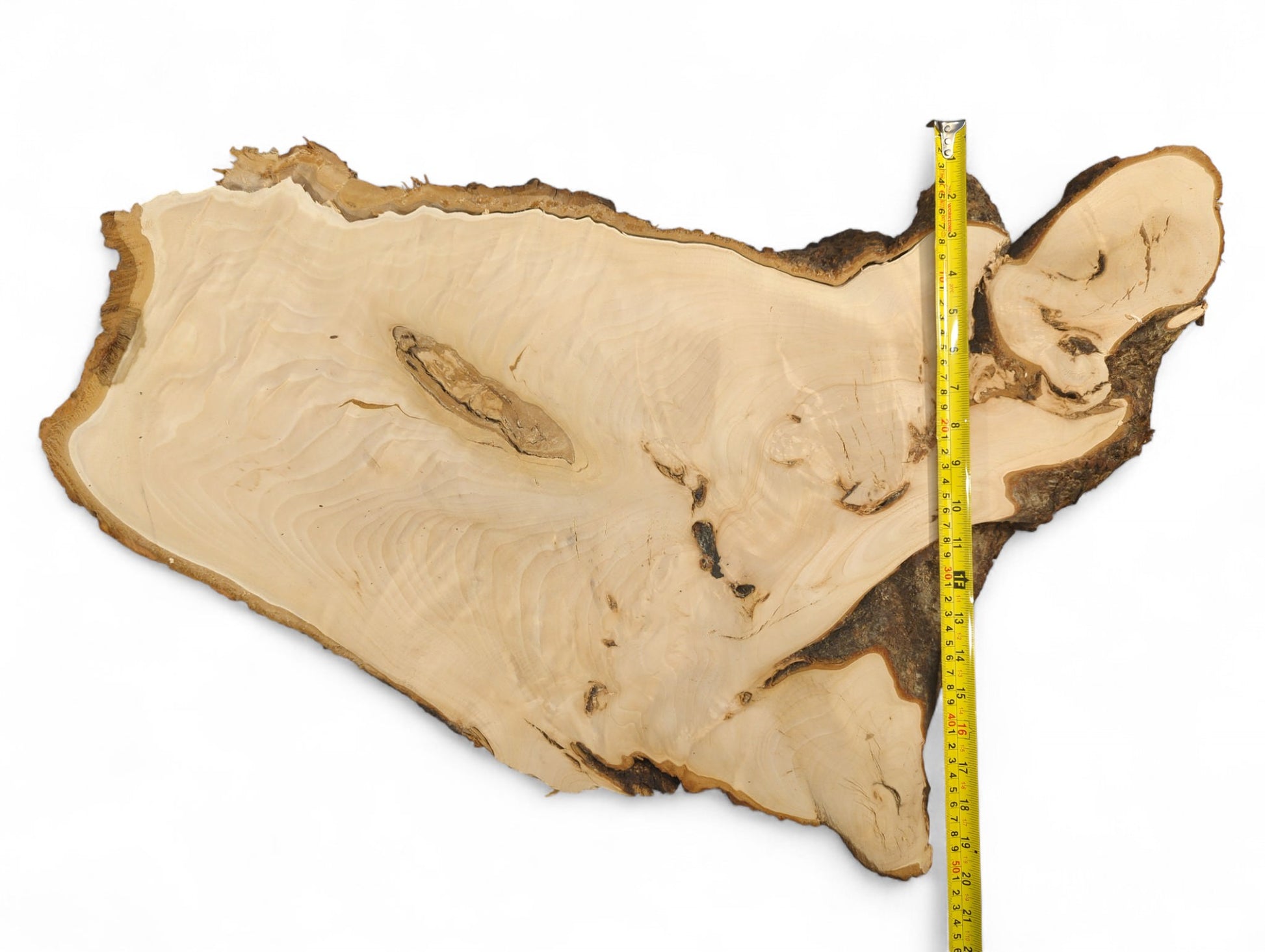 Planed linden wood slice featuring light, swirling grain, dark bark edges, and a vertical yellow measuring tape.