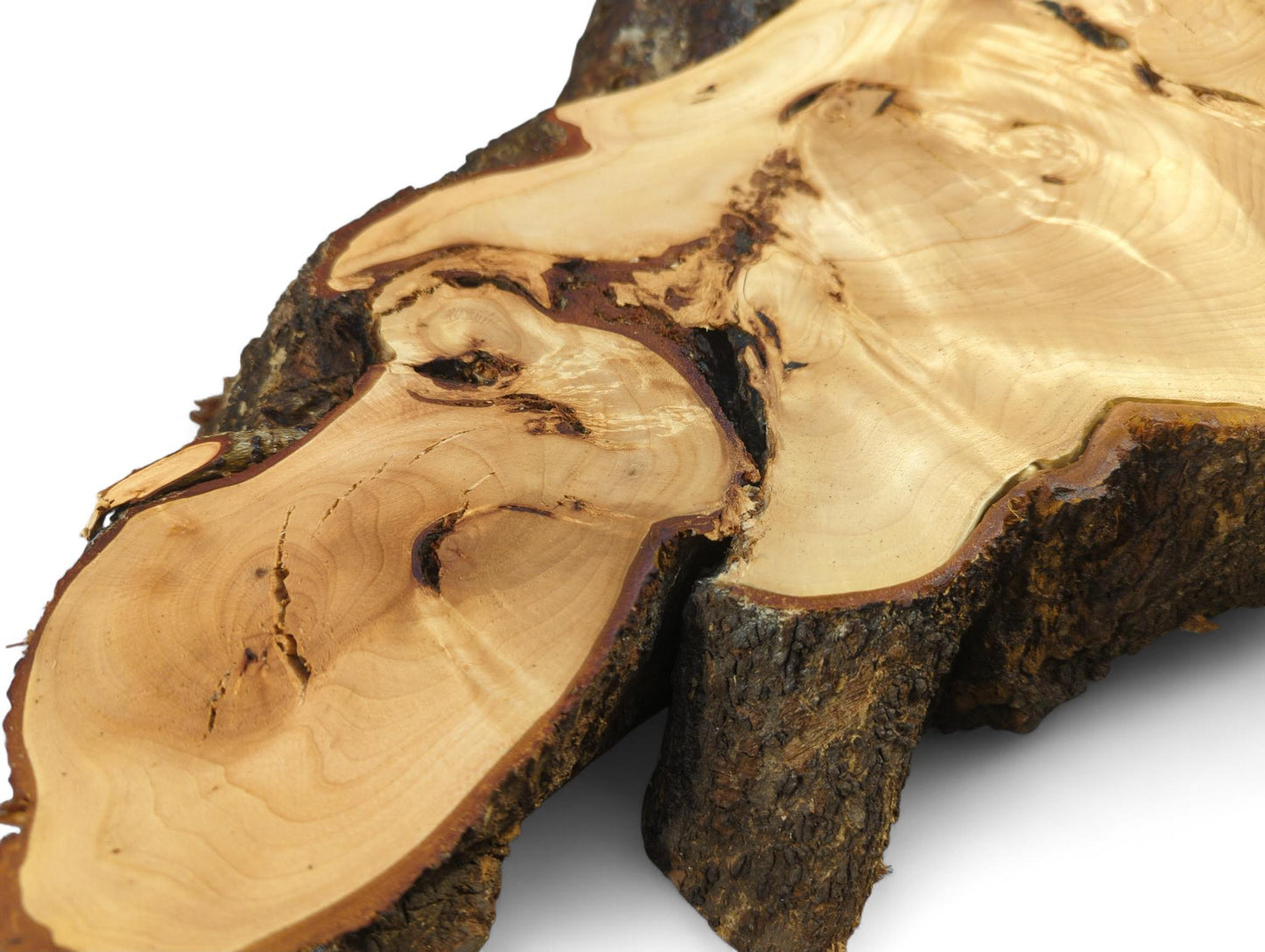 Detailed view of an irregularly shaped linden root slice, displaying light wood, swirling grain, dark bark.