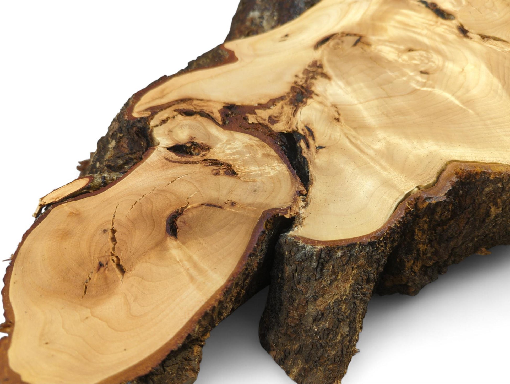 Detailed view of an irregularly shaped linden root slice, displaying light wood, swirling grain, dark bark.