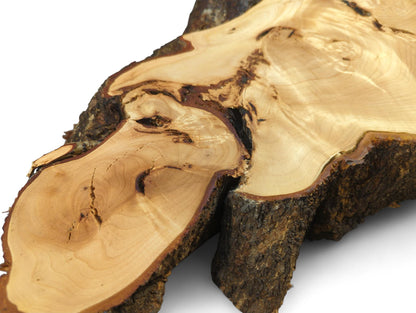 Detailed view of an irregularly shaped linden root slice, displaying light wood, swirling grain, dark bark.