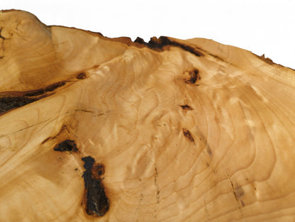 Detail view of a planed linden root slice, showing light wood, highly figured grain, and dark bark.