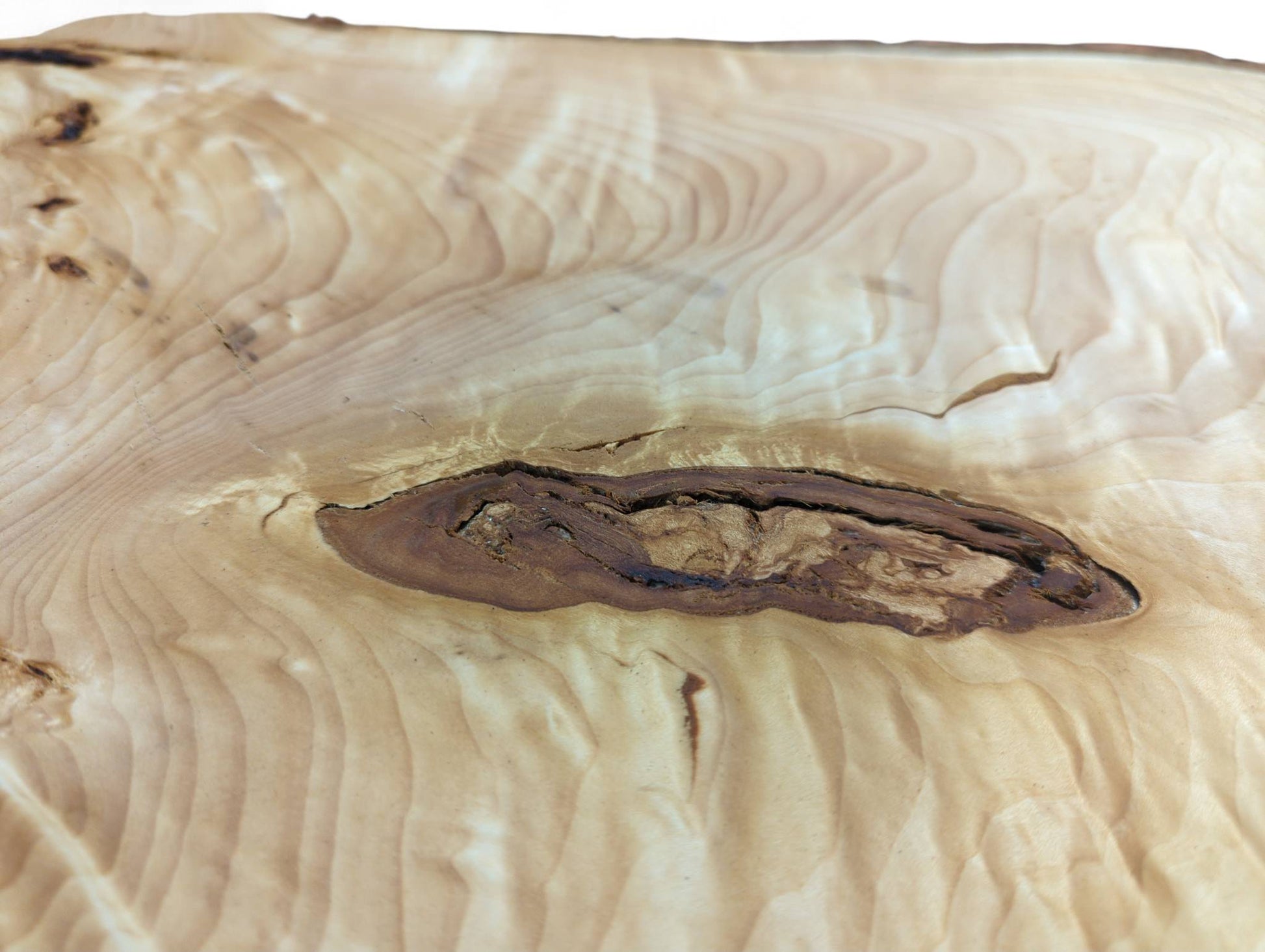 Highly figured linden root wood, light-colored, with strong swirling grain and a dark, elongated inclusion.